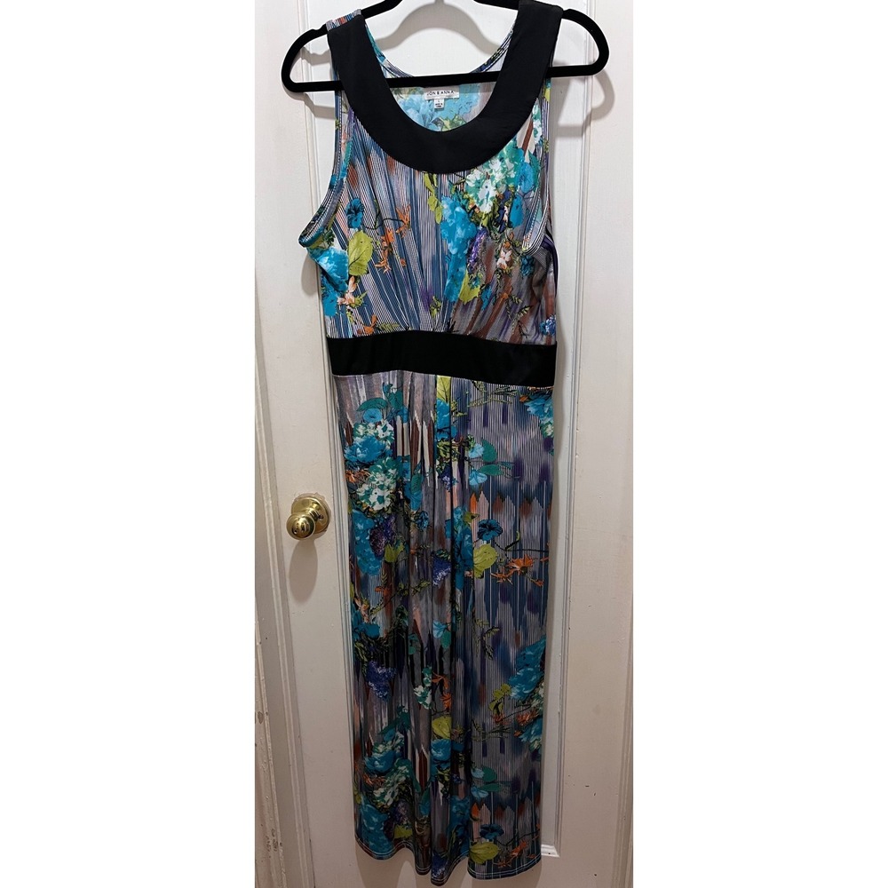 Jon & Anna Women Blue Floral Stripe Sleeveless Empire Waist Maxi Dress Large